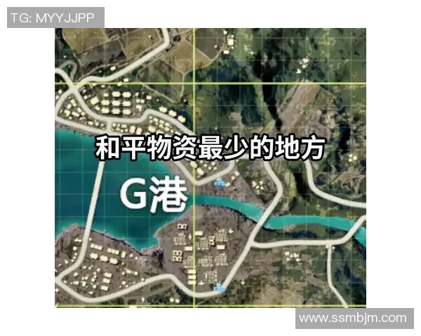 和平精英新手必看：全面解析比赛经验与技巧的入门指南